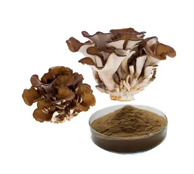 How do You Use Grifola Frondosa Extract?